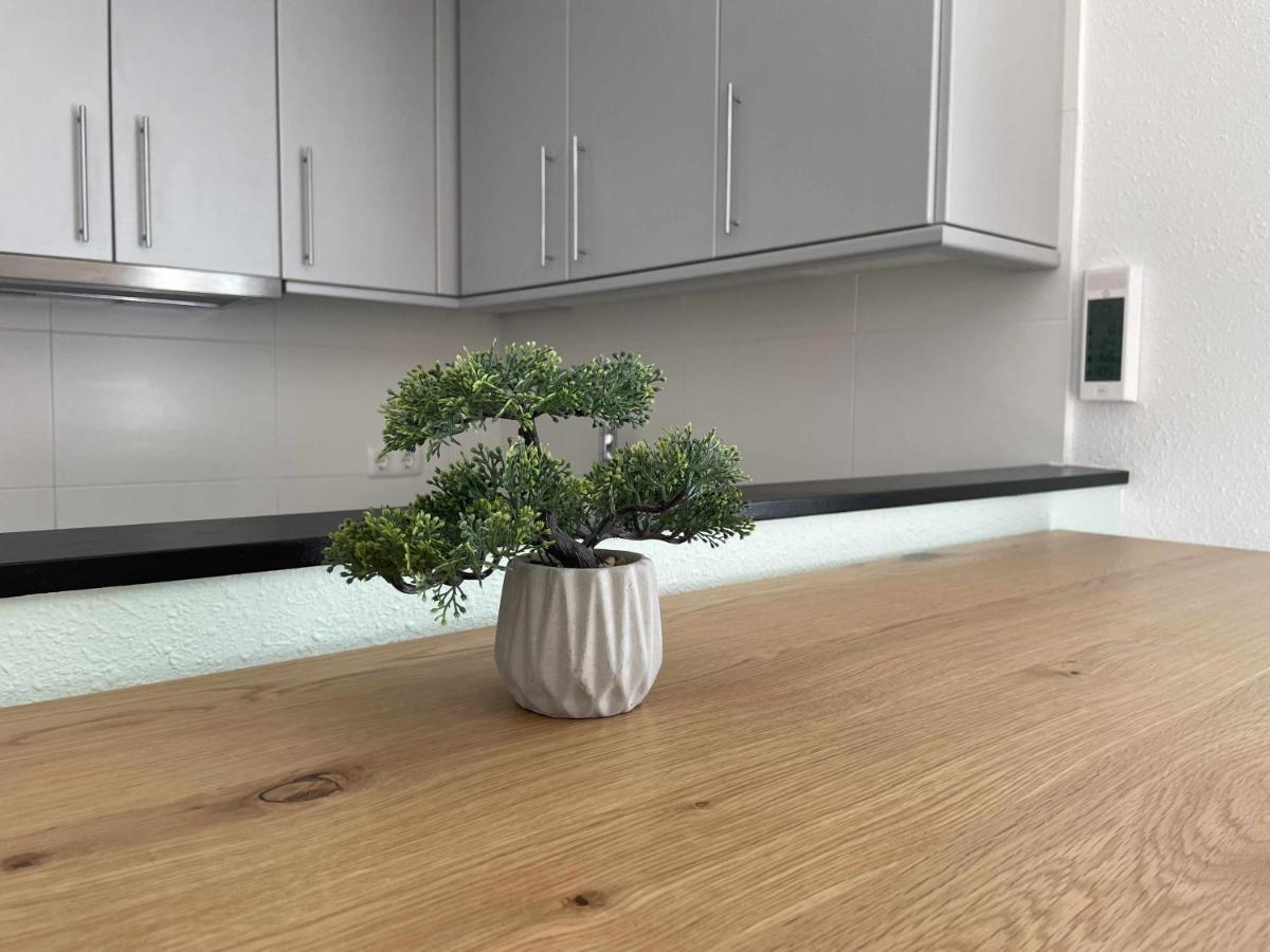 Apartment Solarium Con Terraza A 5 Minutos De La Playa *