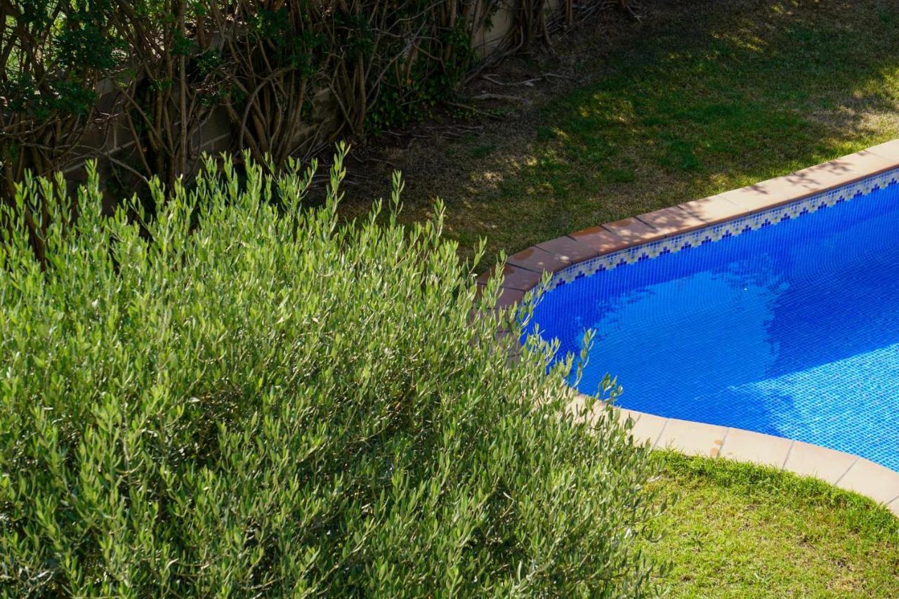 Solarium Con Terraza A 5 Minutos De La Playa *